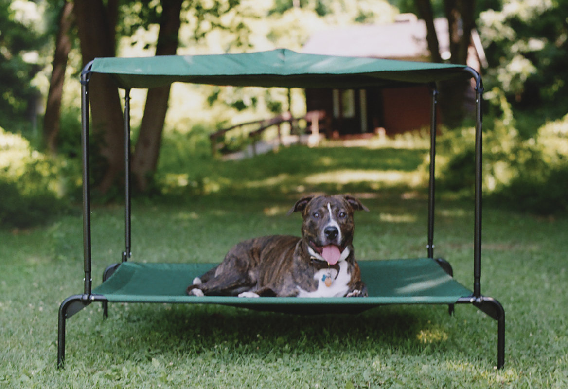 Kittywalk Systems Puppywalk Indoor/Outdoor Ultra Breezy Dog Bed with